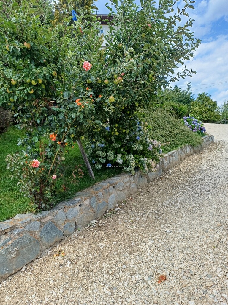 Pensiunea Pestera