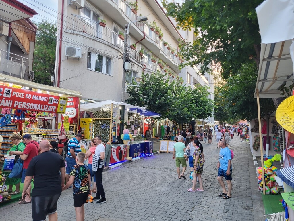 Camere de închiriat Casa Moise