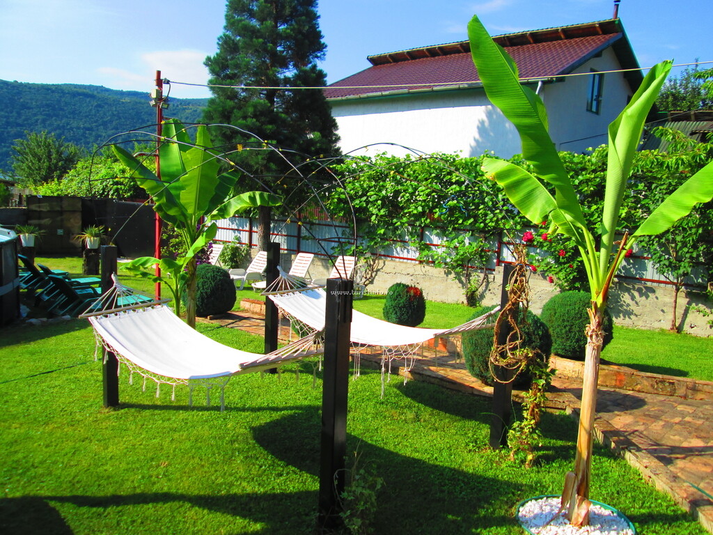 Camere de închiriat Ogradena