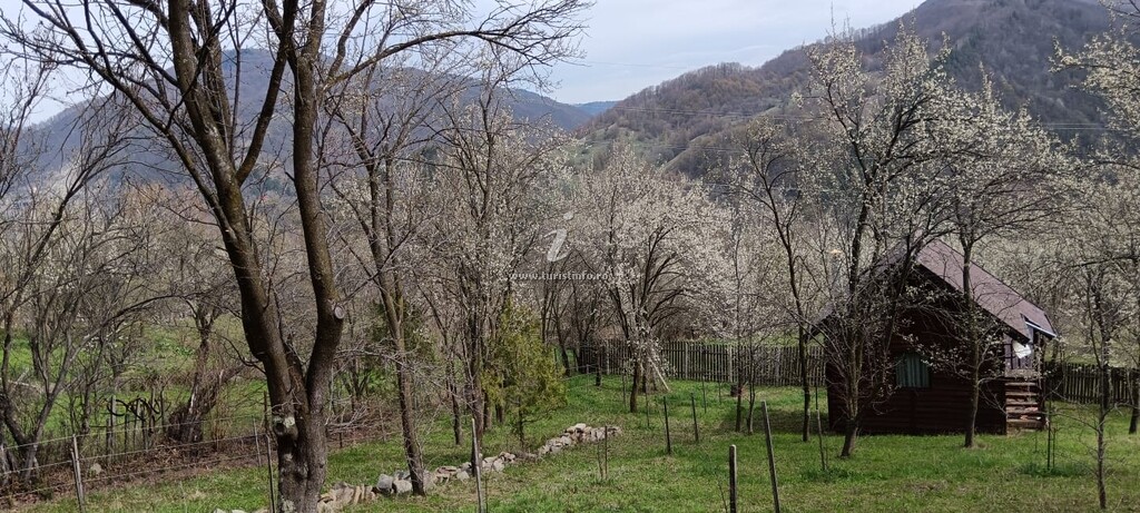 Cabana Doi Frați