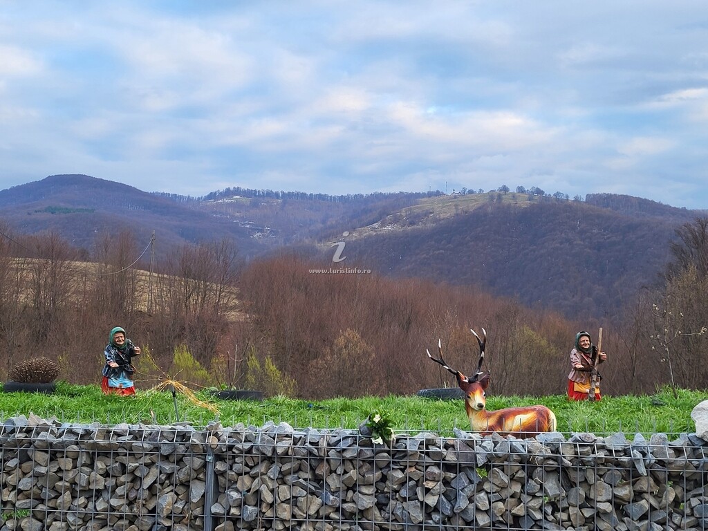Cabana La Doruțu