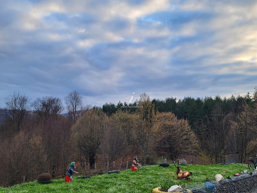 Cabana La Doruțu