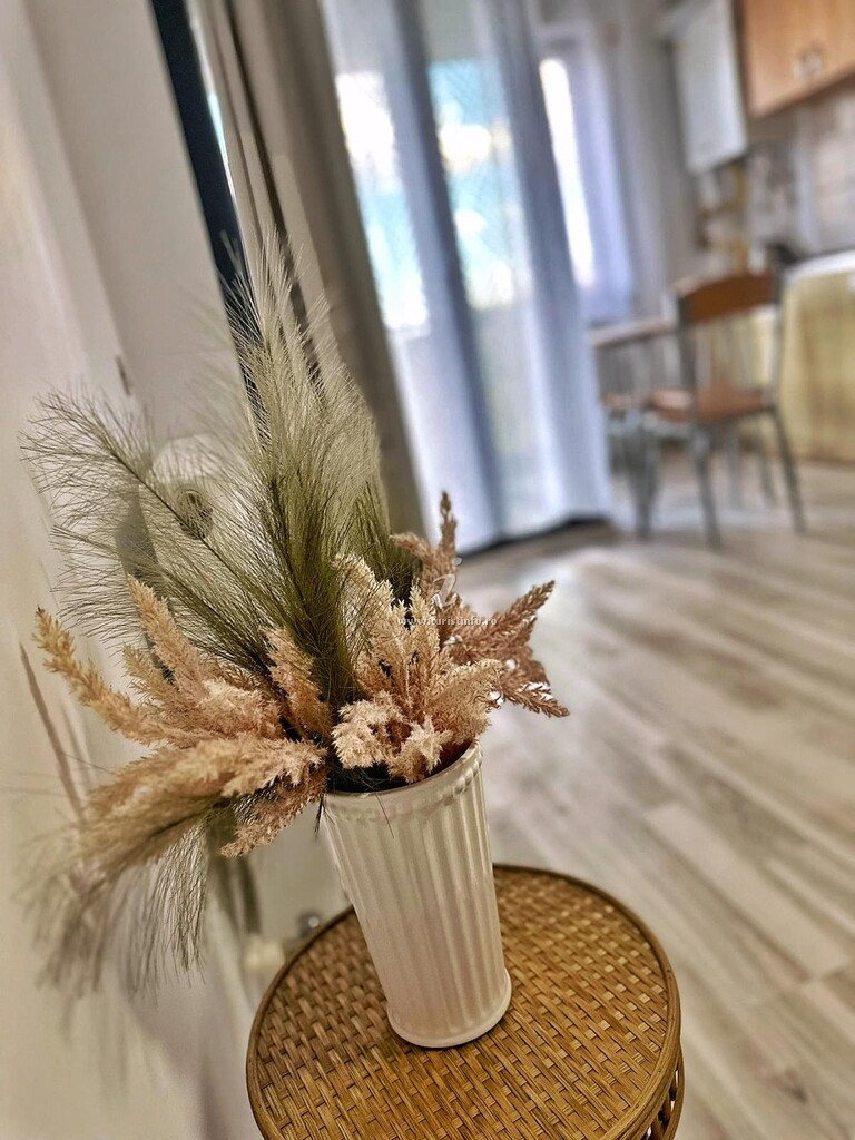Camere de închiriat Jolie