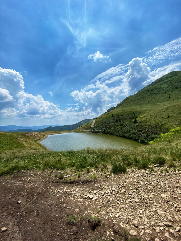 Cabana Doi Frați