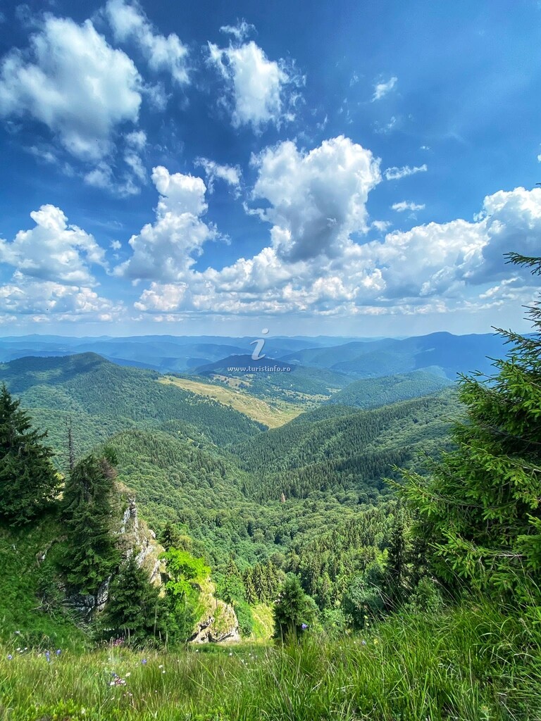 Cabana Doi Frați