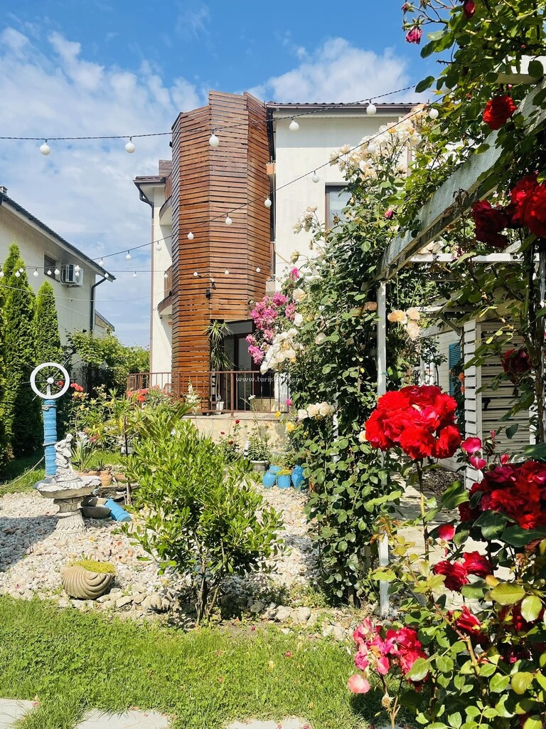 Vila Viorica