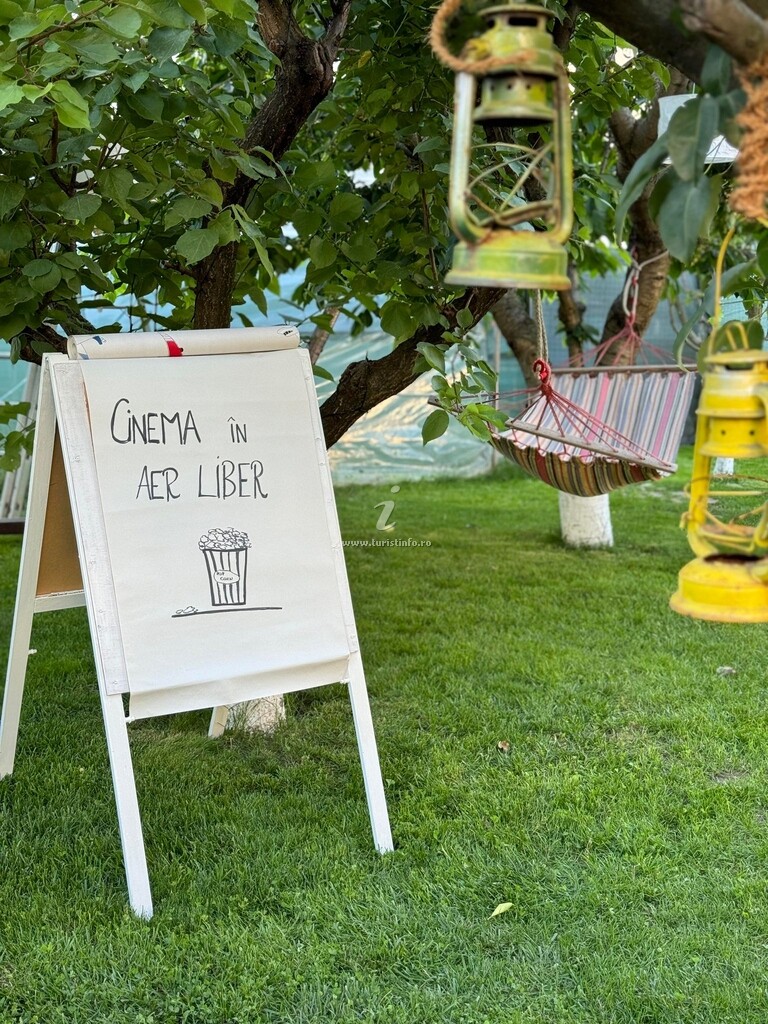 Vila Viorica
