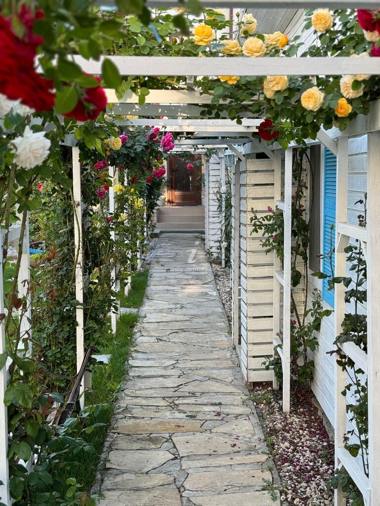 Vila Viorica
