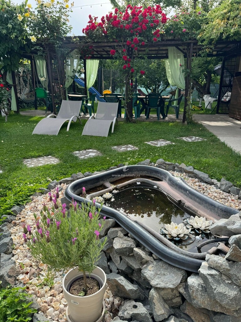 Vila Viorica