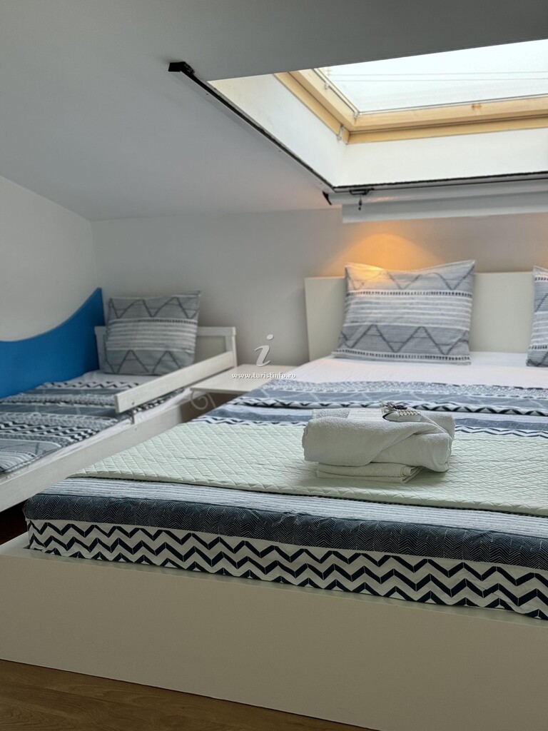 Vila Viorica