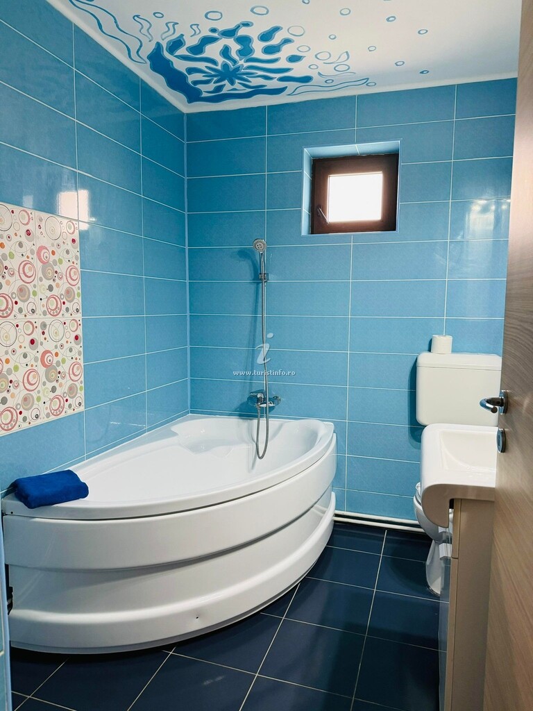 Vila Viorica