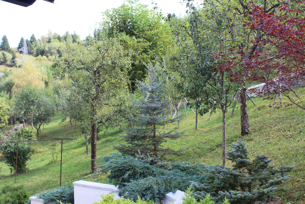 Vila Green Garden