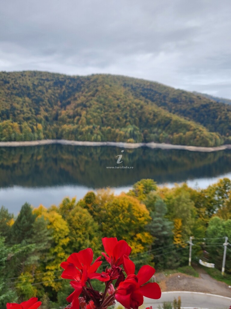 Complex Turistic Valea cu Pești