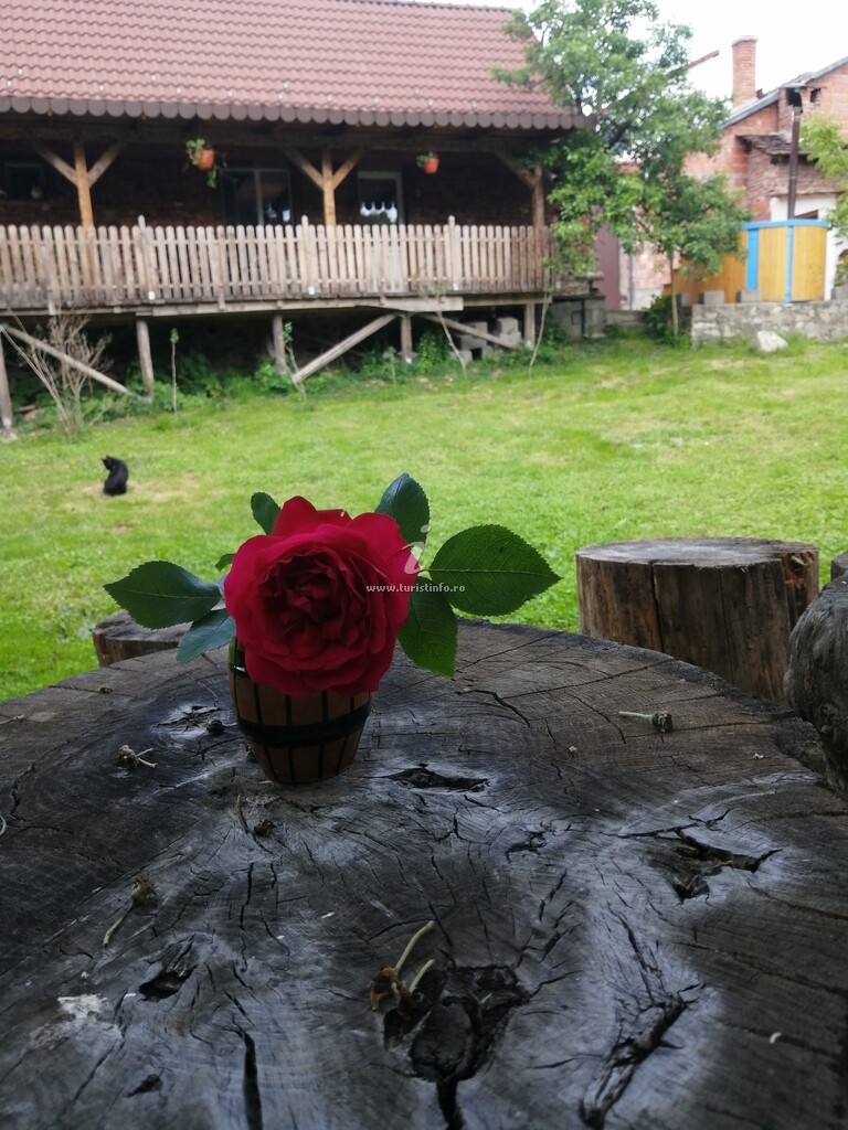Casa Borlova