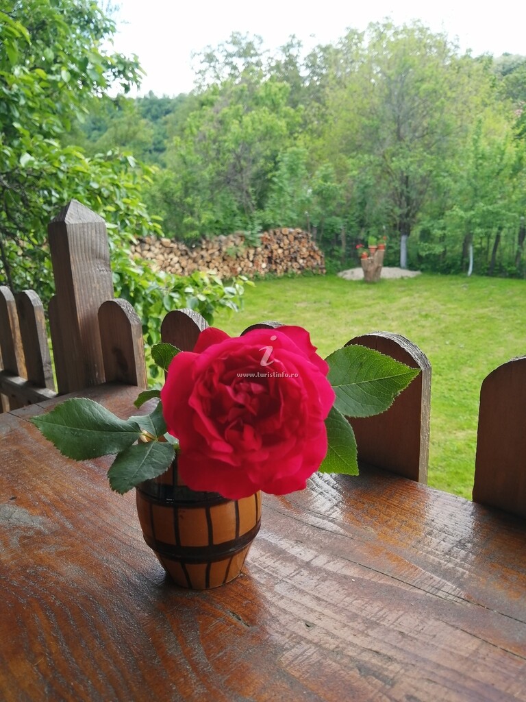 Casa Borlova