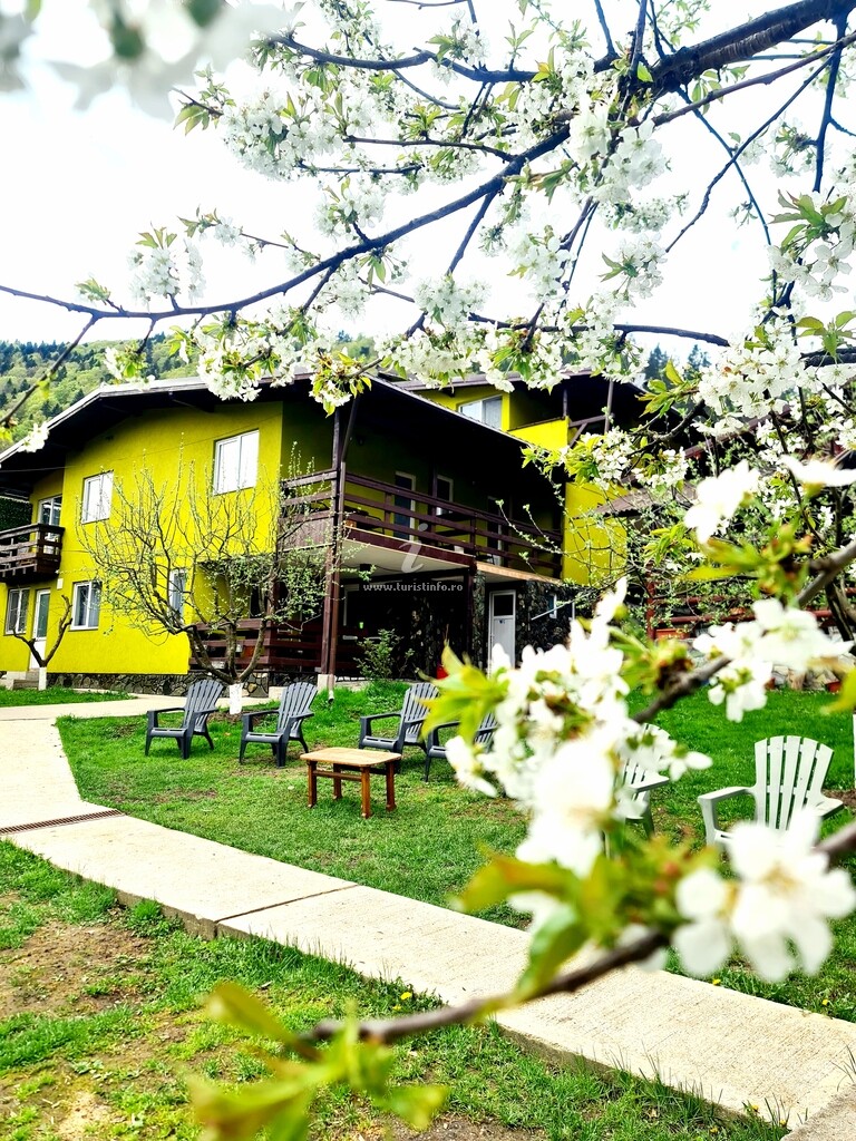 Vila Giulia