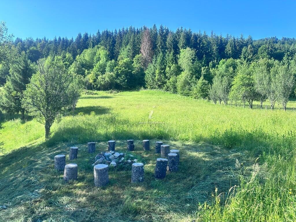 Căsuța de pe Dos