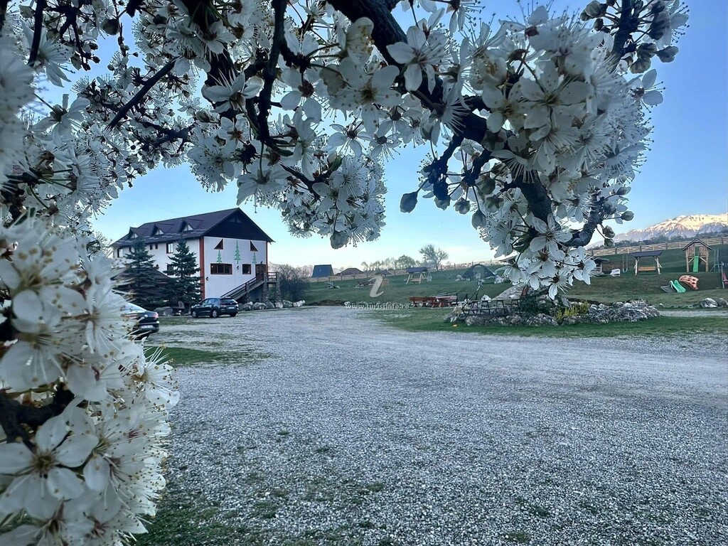 Camere de închiriat 3 Brazi Zărnești