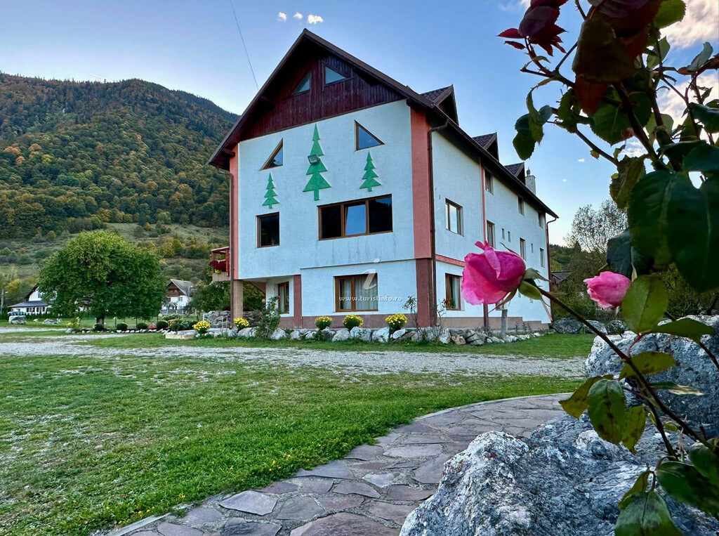 Camere de închiriat 3 Brazi Zărnești
