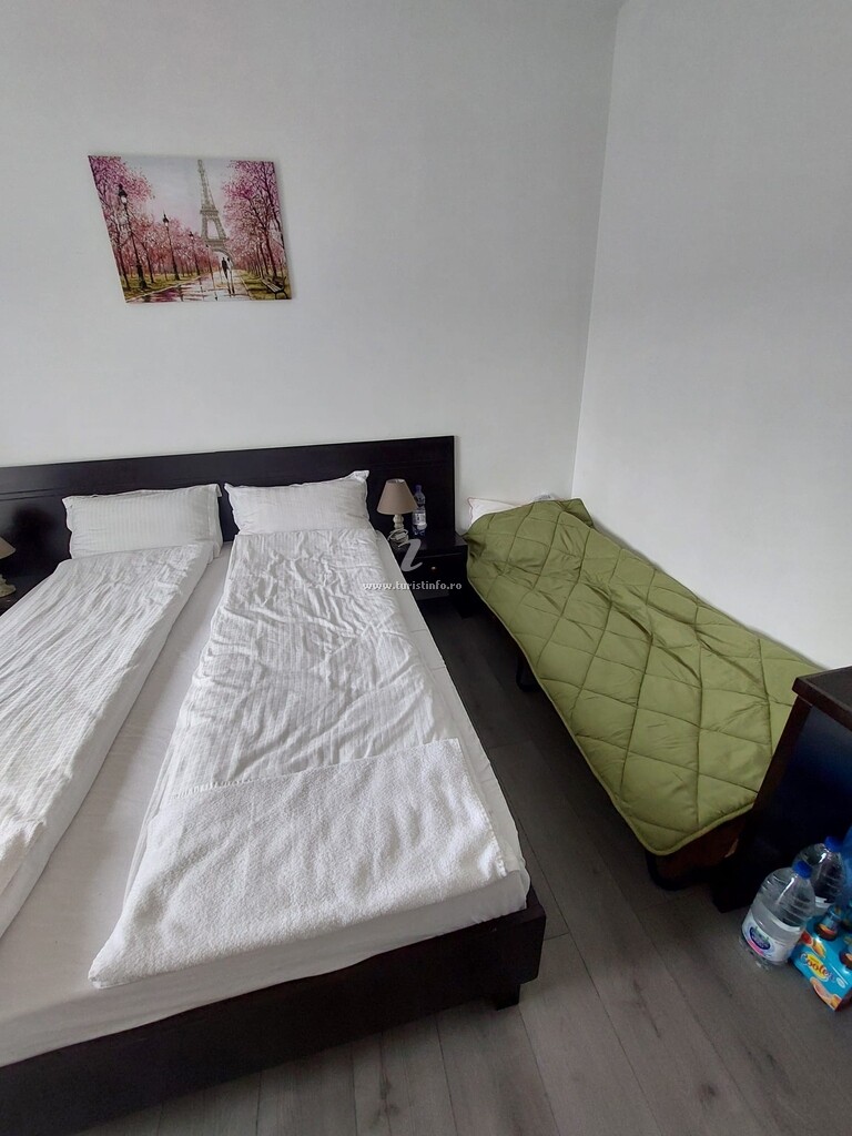 Hotel-Apartament Apartamente 9