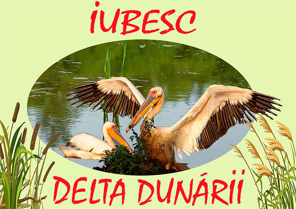 Camere de închiriat Iubesc Delta Dunarii