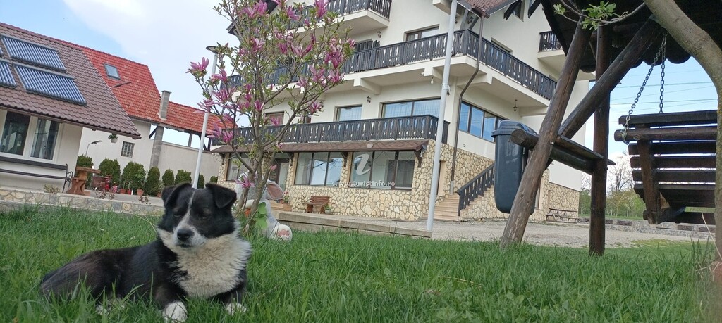 Conacul din Bran