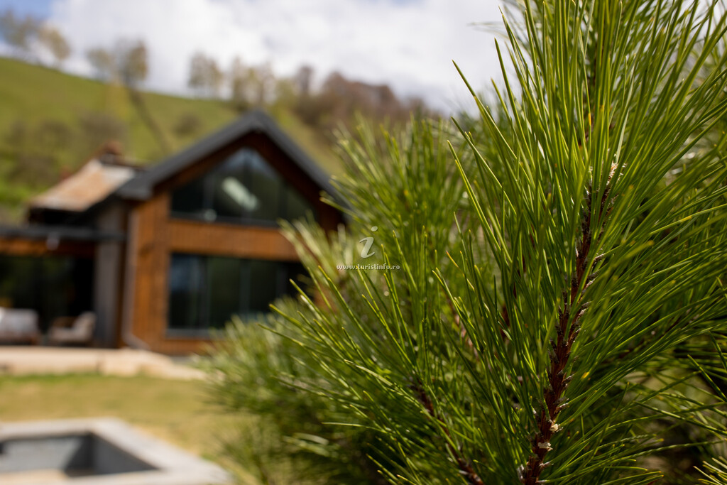 Vila Cuibu's Lodge