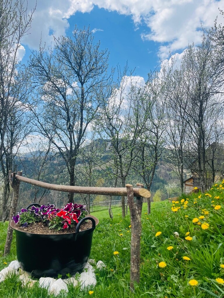 Cabana Mihaela