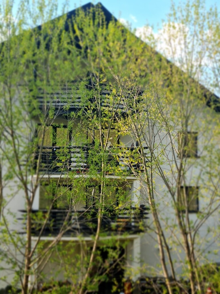 Casa Fleur de Lys