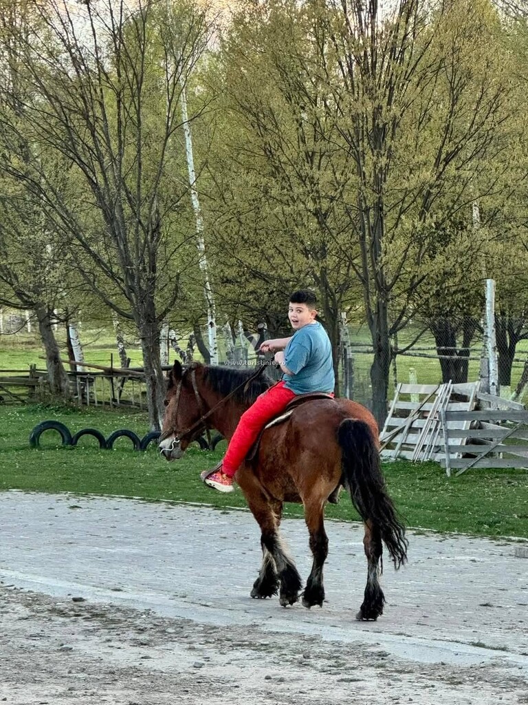 Ferma Stâna Dacilor