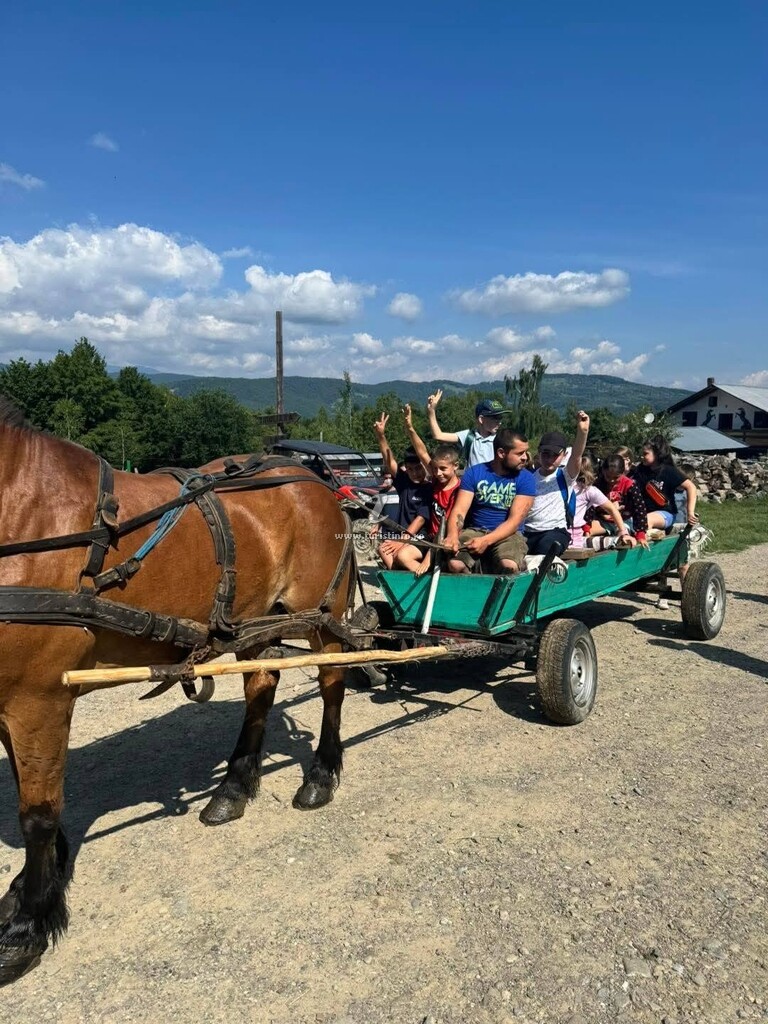 Ferma Stâna Dacilor
