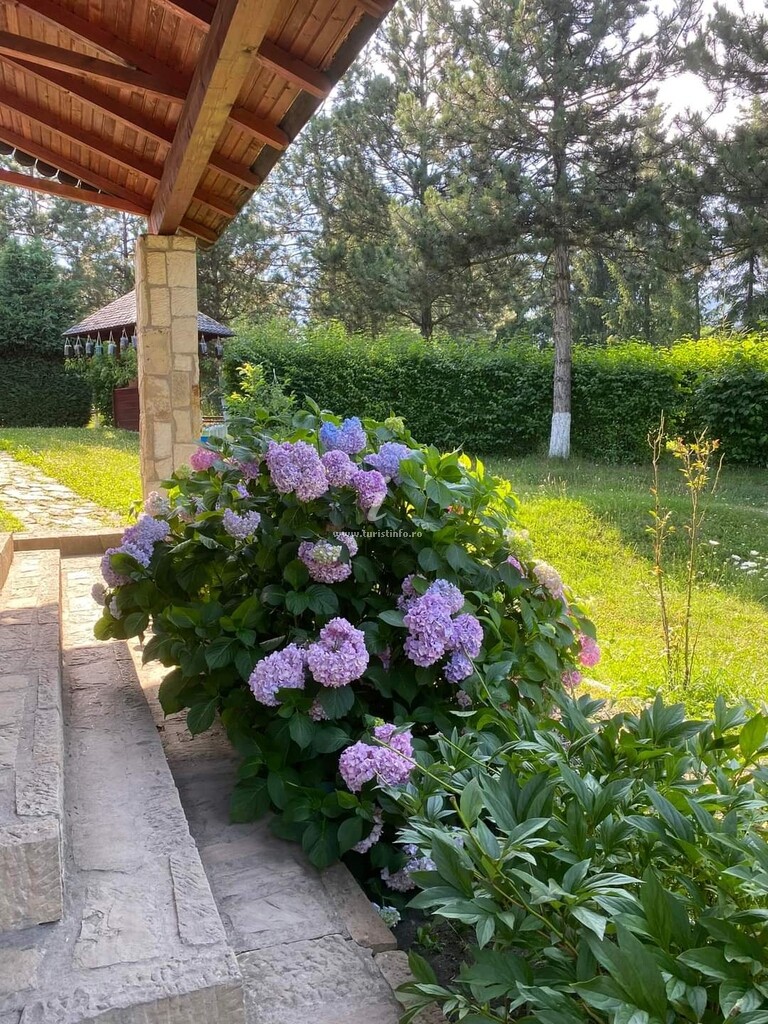 Pensiunea Complex Agroturistic Pădurea de Smarald