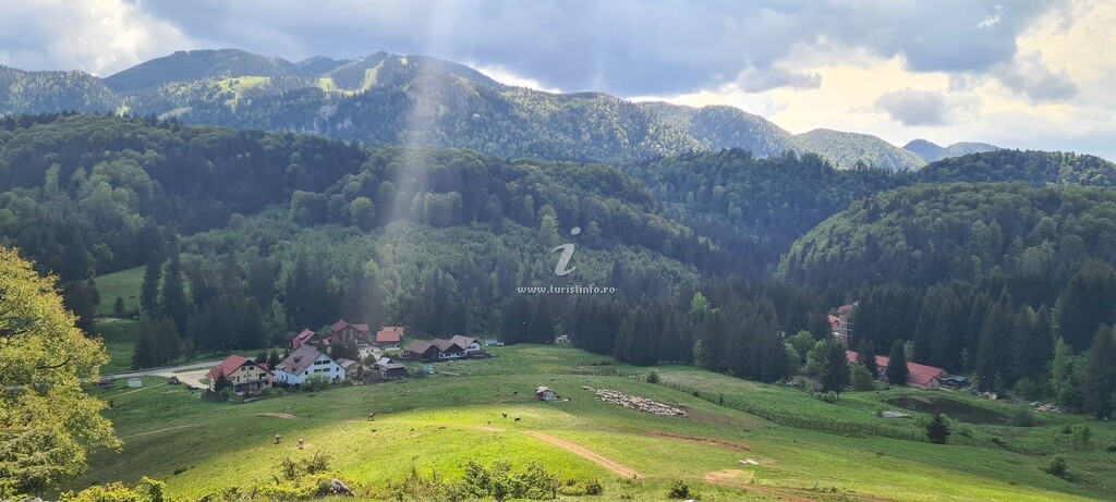 Pensiunea Poiana Cristian
