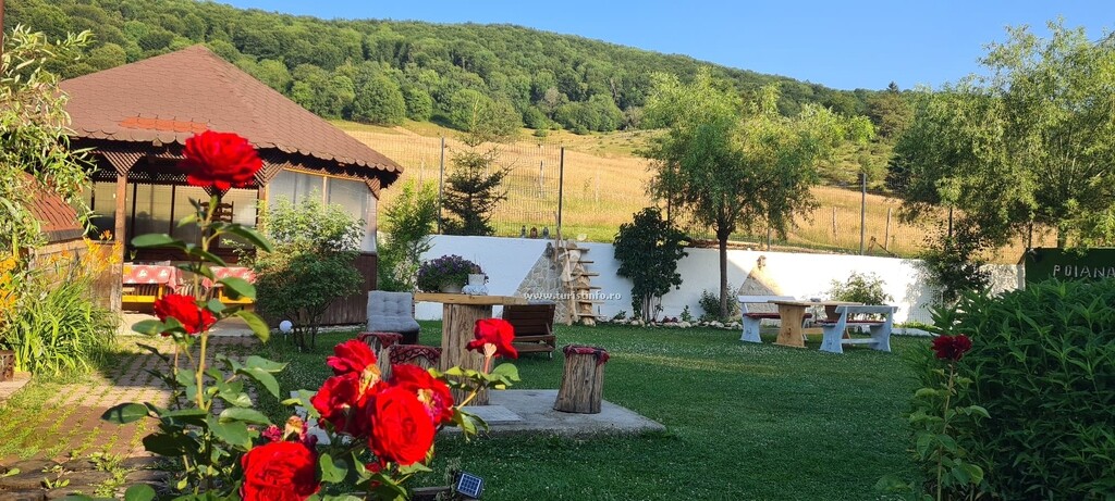 Pensiunea Poiana Cristian