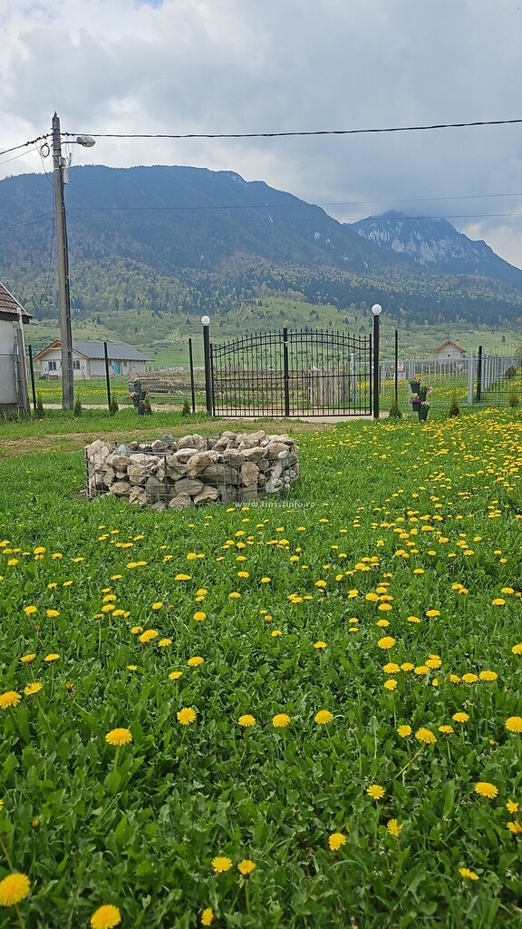 Pensiunea GuestHouse Hanelore