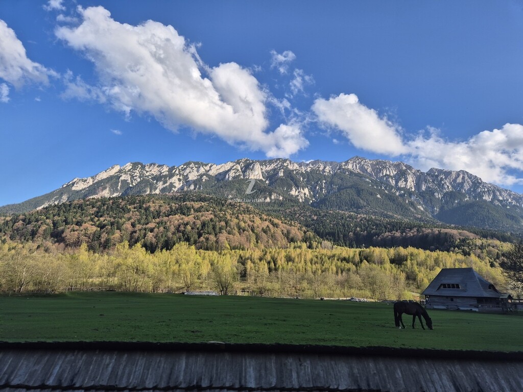 Pensiunea GuestHouse Hanelore