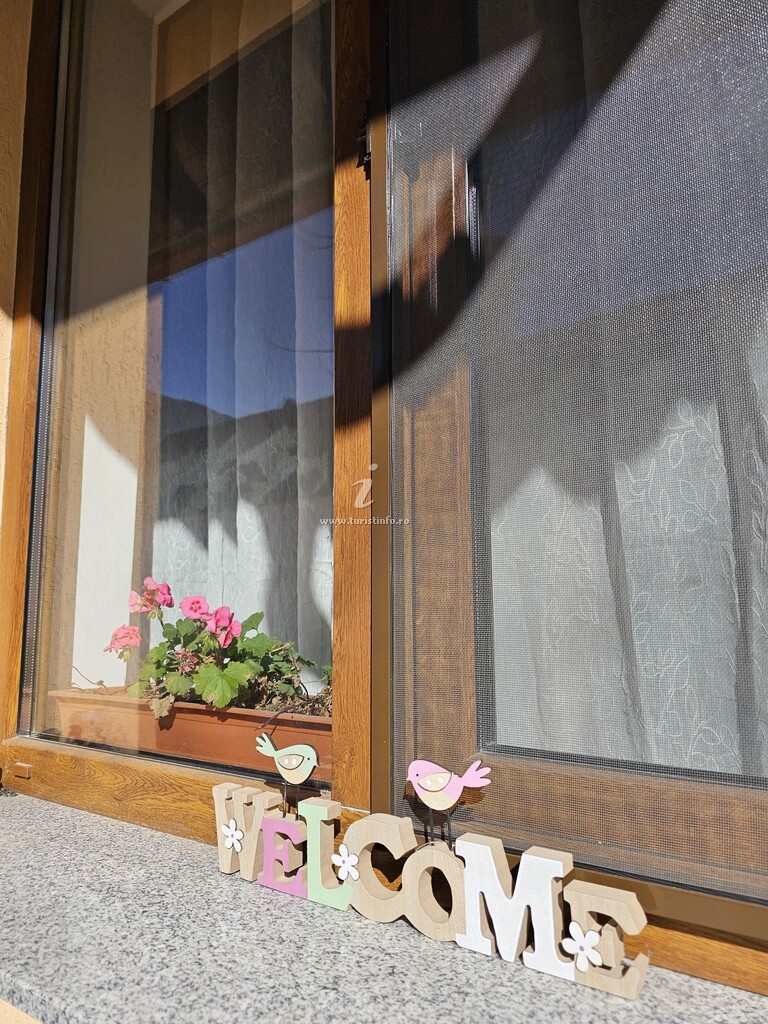 Pensiunea GuestHouse Hanelore