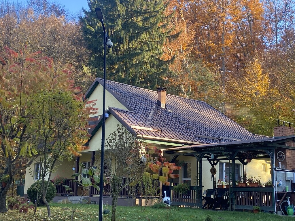 Cabana Umbra Fagului