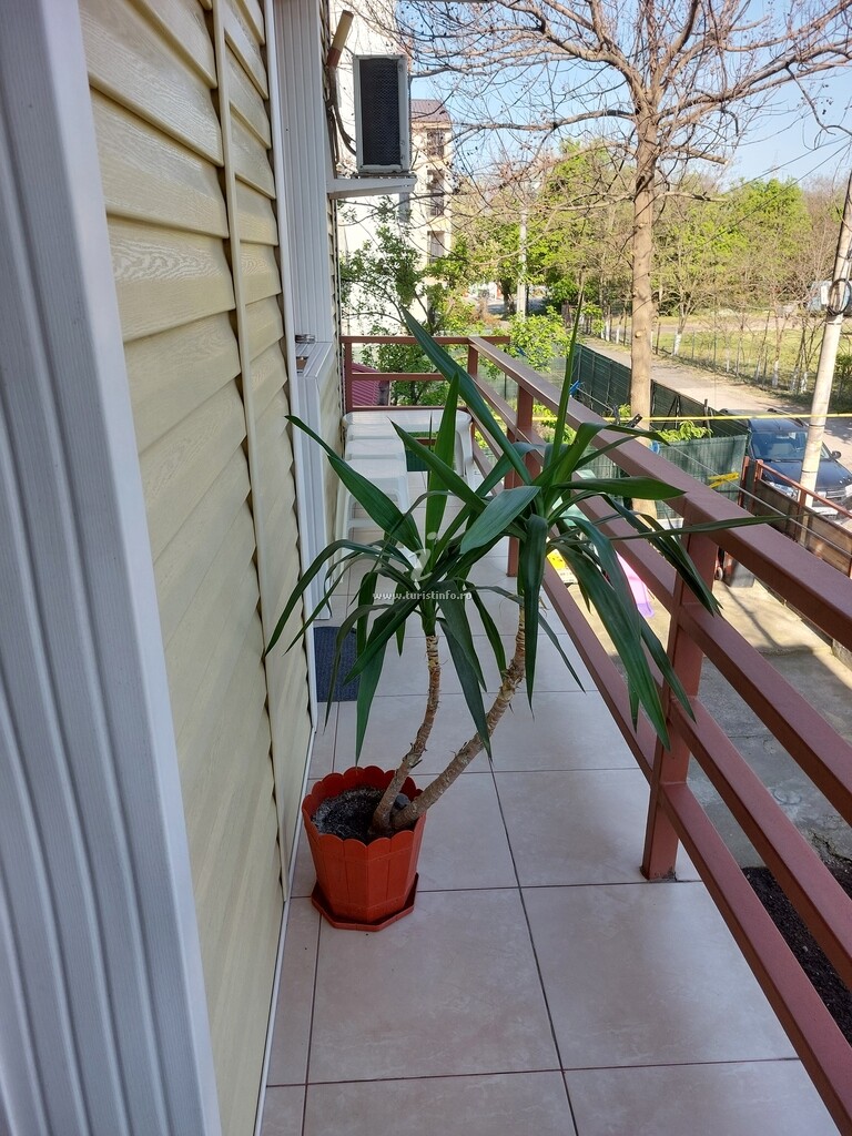 Camere de închiriat Coco