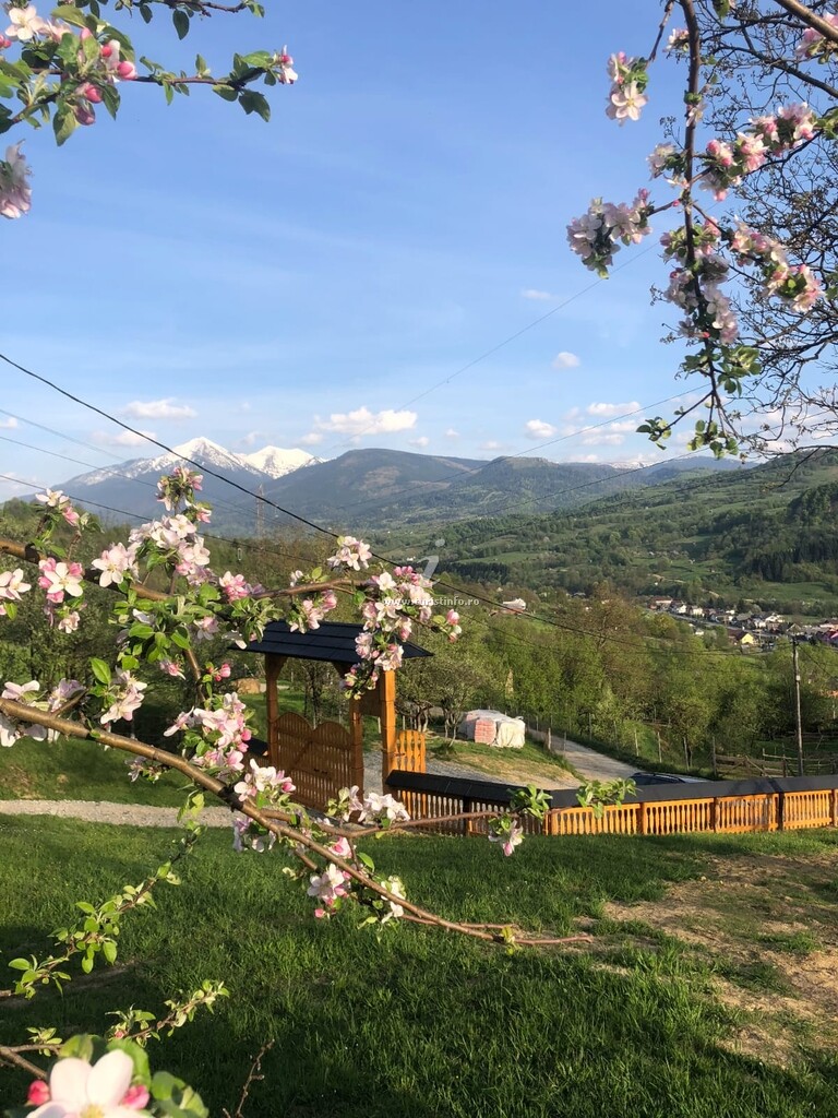 Cabana Hatere