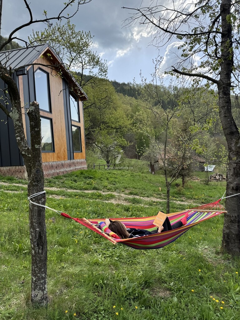Cabana Magic Pine Nest