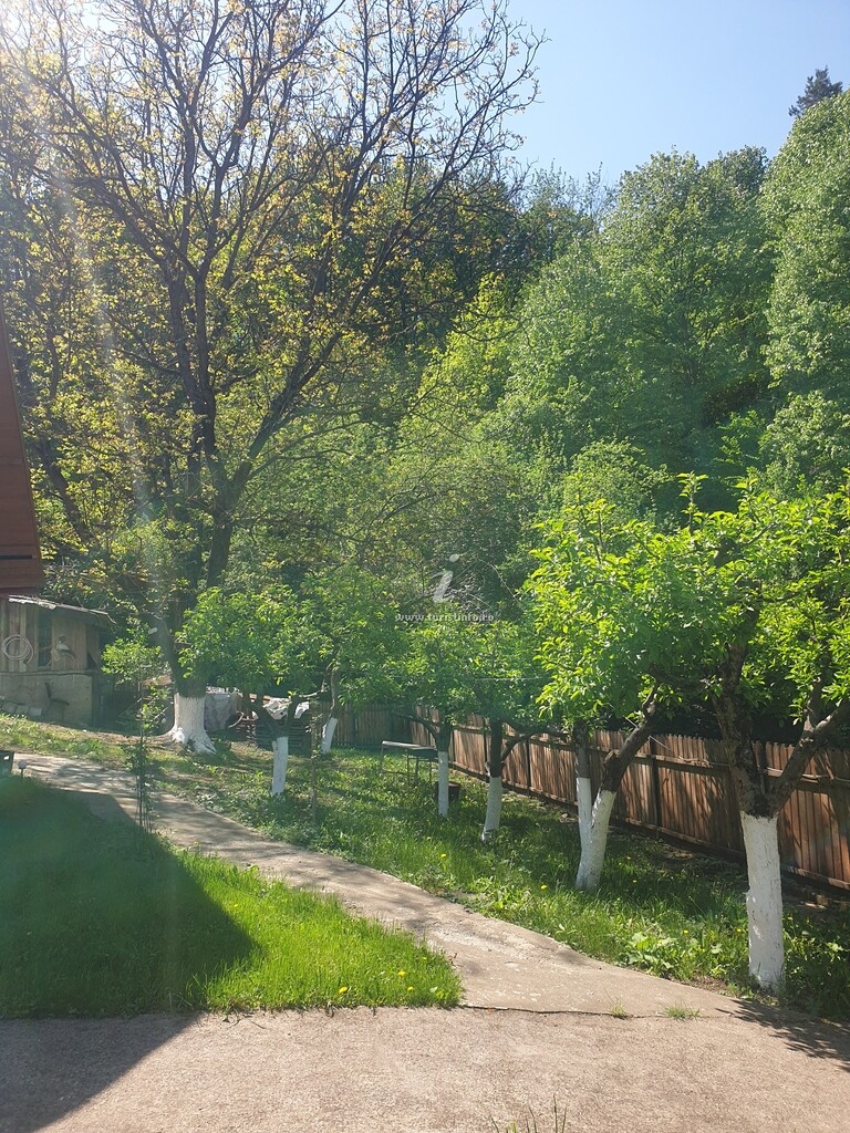 Casa Pârvu