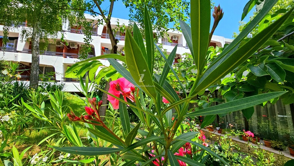 Hotel Sanda