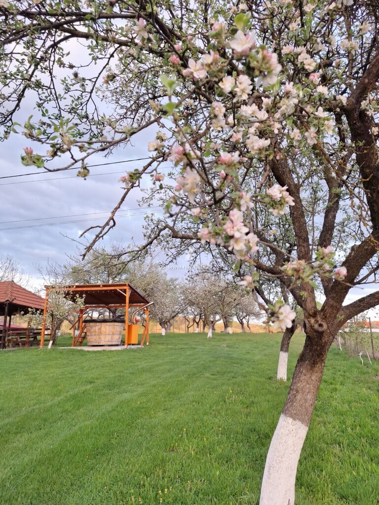 Pensiunea Agroturistică Ica