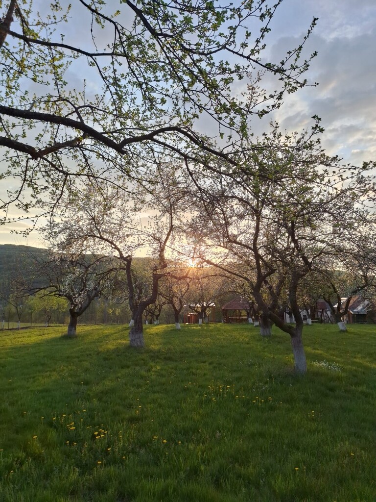 Pensiunea Agroturistică Ica