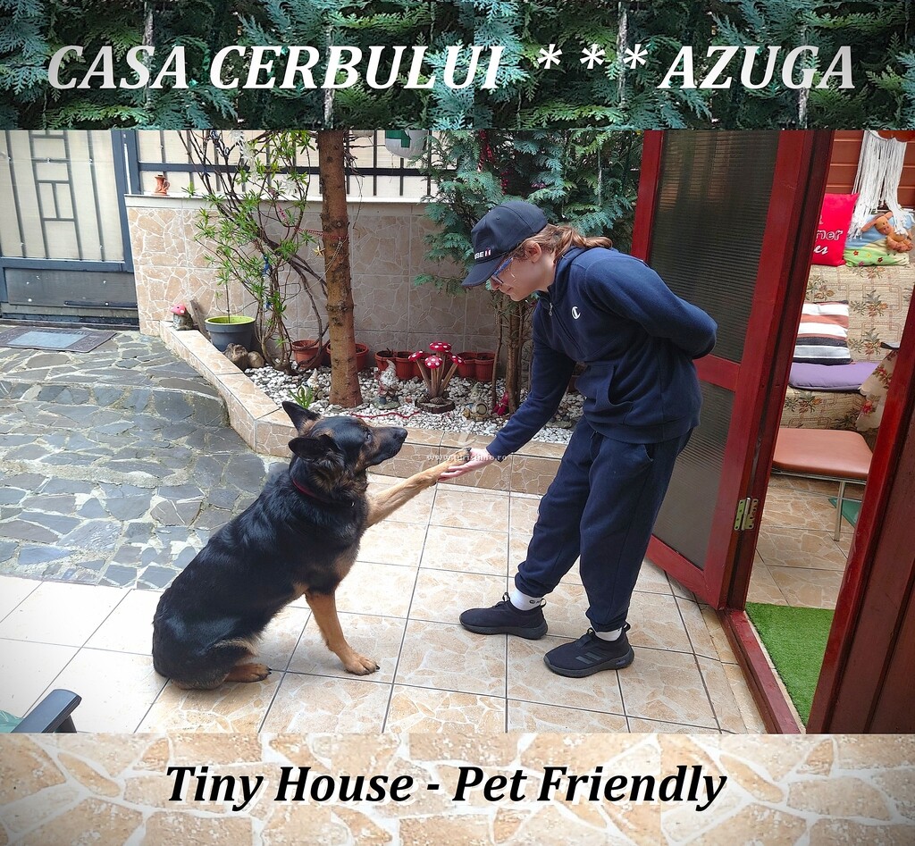Casa Cerbului