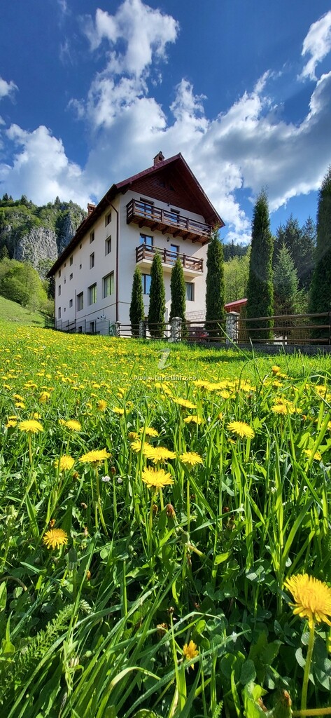 Casa Doinița