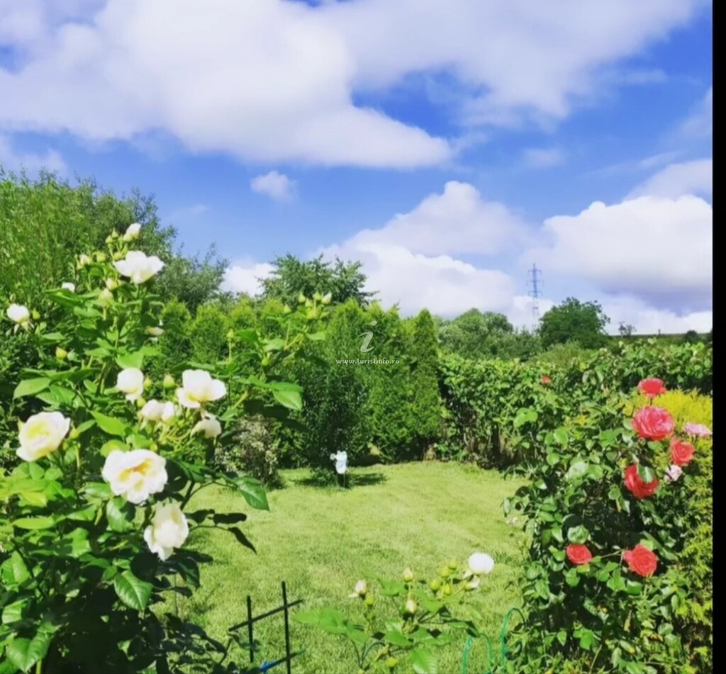 Casa de vacanță Ograda Bunicilor