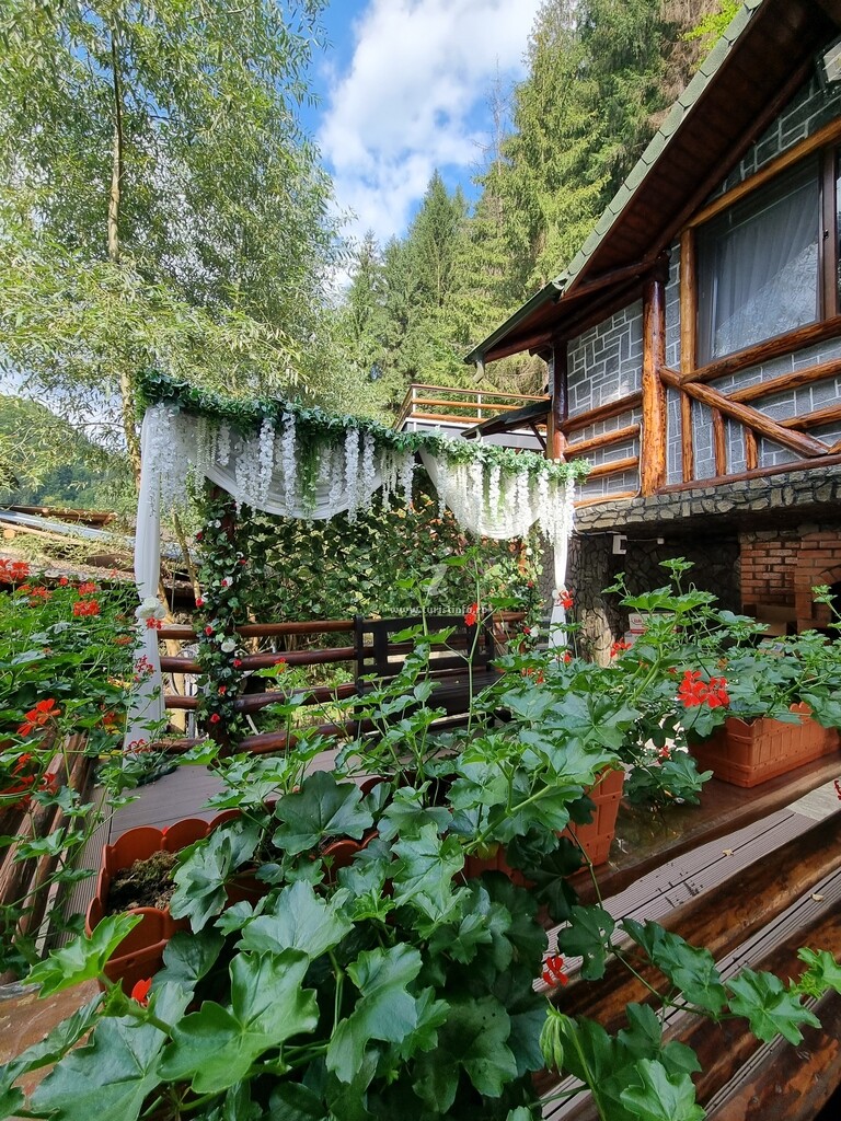 Zumzetul Râului
