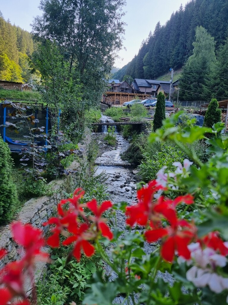 Zumzetul Râului
